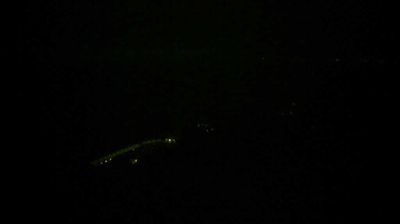 immagine della webcam nei dintorni di Savona: webcam Varigotti