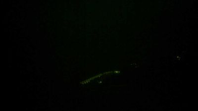 immagine della webcam nei dintorni di Borgio Verezzi: webcam Varigotti