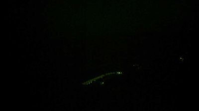 immagine della webcam nei dintorni di Celle Ligure: webcam Varigotti