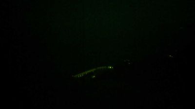 immagine della webcam nei dintorni di Albisola Superiore: webcam Varigotti