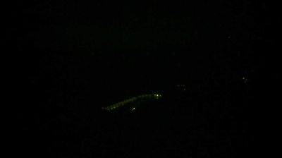 immagine della webcam nei dintorni di Borghetto Santo Spirito: webcam Varigotti