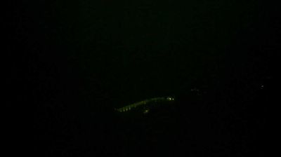 immagine della webcam nei dintorni di Spotorno: webcam Varigotti