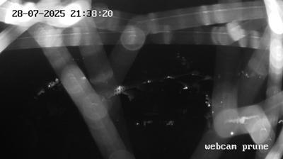 immagine della webcam nei dintorni di Vellano: webcam Prunetta