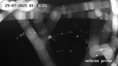immagine della webcam nei dintorni di Cintolese: webcam Prunetta