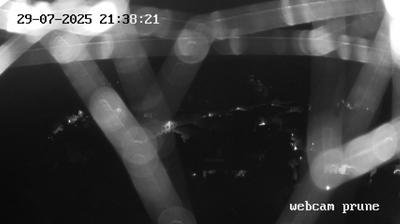 immagine della webcam nei dintorni di San Marcello Pistoiese: webcam Prunetta