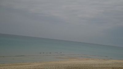 immagine della webcam nei dintorni di Pulsano: webcam Masseria Conche