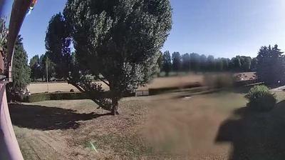 immagine della webcam nei dintorni di Milano: webcam Passirana