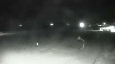immagine della webcam nei dintorni di Alberoni: webcam Cavallino-Treporti
