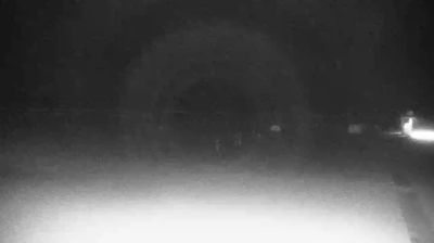 immagine della webcam nei dintorni di Crepaldo: webcam Cavallino-Treporti