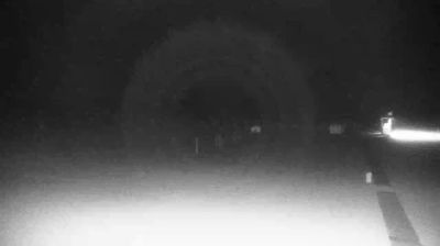 immagine della webcam nei dintorni di Noventa di Piave: webcam Cavallino-Treporti