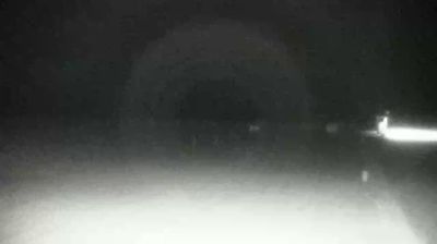 immagine della webcam nei dintorni di Musile di Piave: webcam Cavallino-Treporti