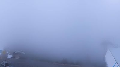 immagine della webcam nei dintorni di Cogolo: webcam Campo Carlo Magno