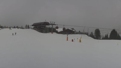 immagine della webcam nei dintorni di Cortina d'Ampezzo: webcam Selva di Cadore