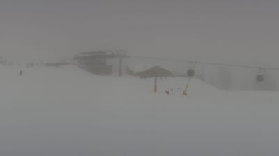 immagine della webcam nei dintorni di Pocol: webcam Selva di Cadore