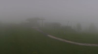 immagine della webcam nei dintorni di Canale d'Agordo: webcam Pescul