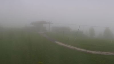 immagine della webcam nei dintorni di Selva di Cadore: webcam Pescul