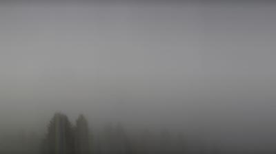 Preview delle webcam di Folgaria: Salizzona