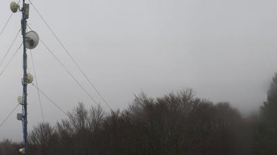 immagine della webcam nei dintorni di Barcis: webcam Piancavallo