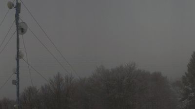 immagine della webcam nei dintorni di Belluno: webcam Piancavallo