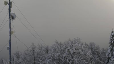 immagine della webcam nei dintorni di Ponte nelle Alpi: webcam Piancavallo