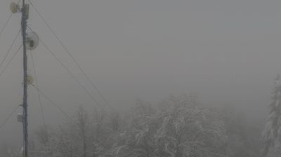 immagine della webcam nei dintorni di Vittorio Veneto: webcam Budoia