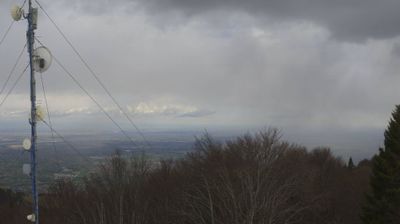 immagine della webcam nei dintorni di Pian del Cansiglio: webcam Piancavallo