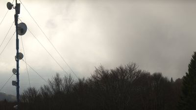 immagine della webcam nei dintorni di Pian del Cansiglio: webcam Piancavallo