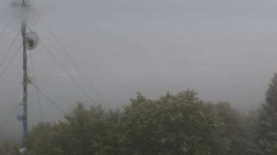 immagine della webcam nei dintorni di Col Indes: webcam Piancavallo