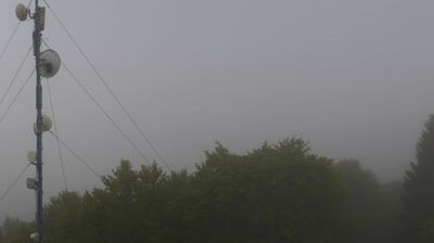 immagine della webcam nei dintorni di Belluno: webcam Piancavallo