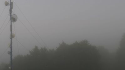immagine della webcam nei dintorni di Belluno: webcam Piancavallo