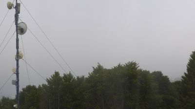 immagine della webcam nei dintorni di Ponte nelle Alpi: webcam Piancavallo