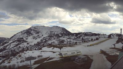 immagine della webcam nei dintorni di Bordano: webcam Monte Zoncolan