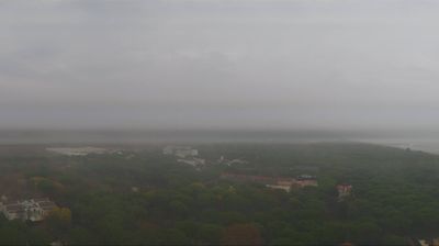 immagine della webcam nei dintorni di Caorle: webcam Cavallino