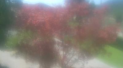 immagine della webcam nei dintorni di Cividale del Friuli: webcam San Pietro al Natisone