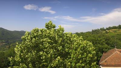 immagine della webcam nei dintorni di Costigliole d'Asti: webcam Bosia