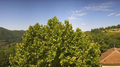 immagine della webcam nei dintorni di Cerretto Langhe: webcam Bosia
