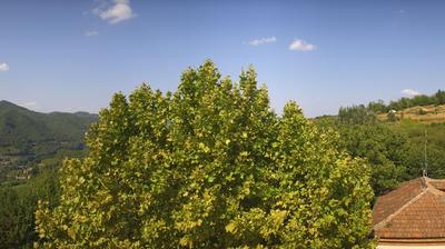immagine della webcam nei dintorni di Albaretto della Torre: webcam Bosia