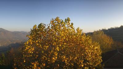 immagine della webcam nei dintorni di Costigliole d'Asti: webcam Bosia