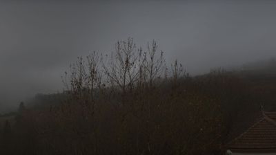 immagine della webcam nei dintorni di Mombarcaro: webcam Bosia