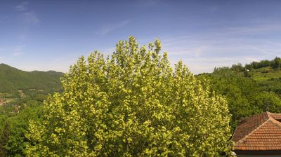 immagine della webcam nei dintorni di Magliano Alfieri: webcam Bosia