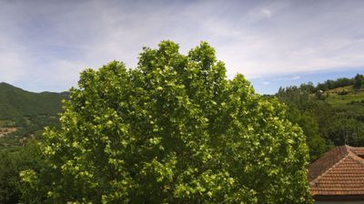 immagine della webcam nei dintorni di Alba: webcam Bosia