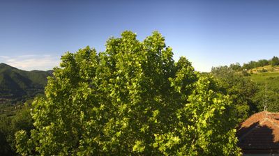 immagine della webcam nei dintorni di Corneliano d'Alba: webcam Bosia