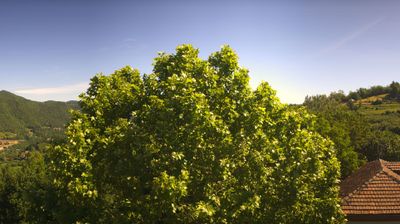 immagine della webcam nei dintorni di Cherasco: webcam Bosia