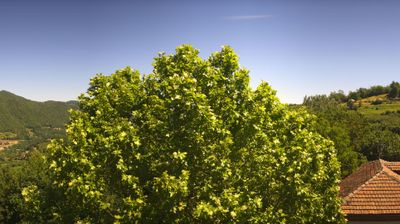 immagine della webcam nei dintorni di Cherasco: webcam Bosia