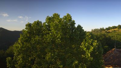 immagine della webcam nei dintorni di Cossano Belbo: webcam Bosia