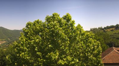 immagine della webcam nei dintorni di Lequio Berria: webcam Bosia