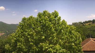immagine della webcam nei dintorni di Niella Belbo: webcam Bosia