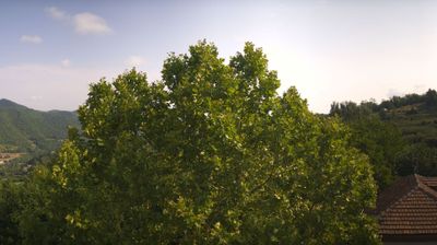 immagine della webcam nei dintorni di Mombarcaro: webcam Bosia