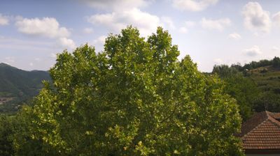 immagine della webcam nei dintorni di Niella Belbo: webcam Bosia