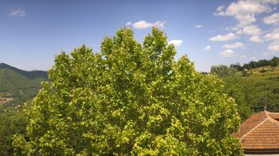 immagine della webcam nei dintorni di Sinio: webcam Bosia